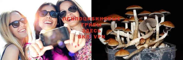 apvp Новозыбков