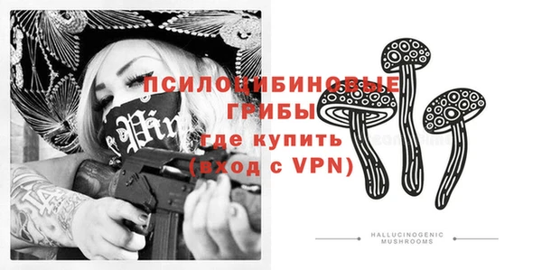 apvp Новозыбков
