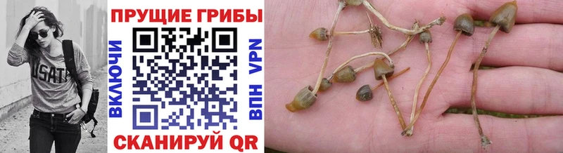 Галлюциногенные грибы мухоморы  кракен рабочий сайт  Кулебаки 