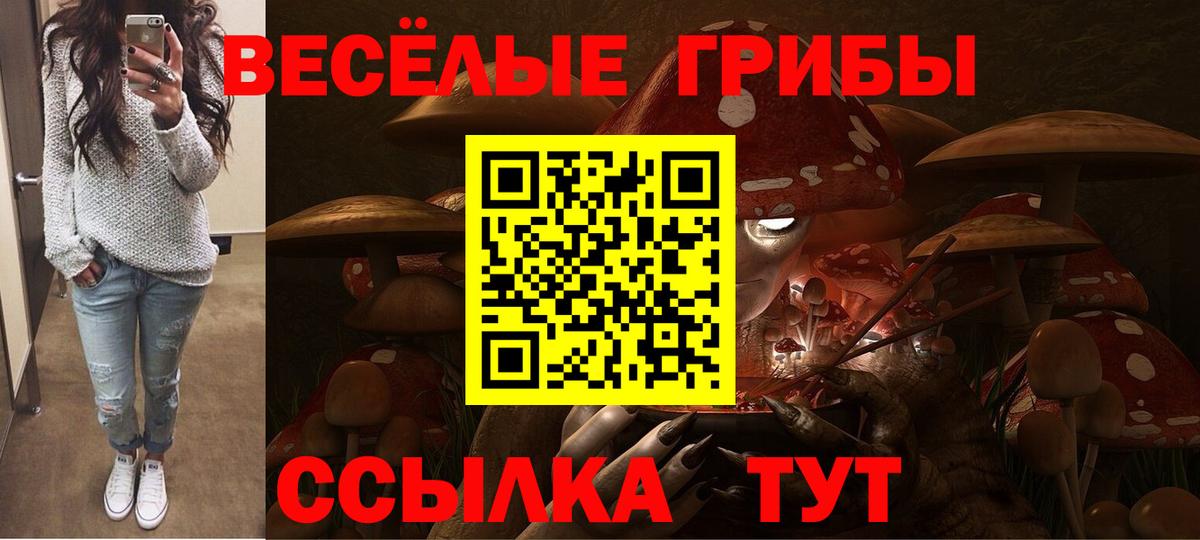 Псилоцибиновые грибы Psilocybine cubensis  Вход с VPN  Кулебаки 