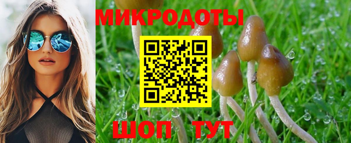 Псилоцибиновые грибы мухоморы Кулебаки
